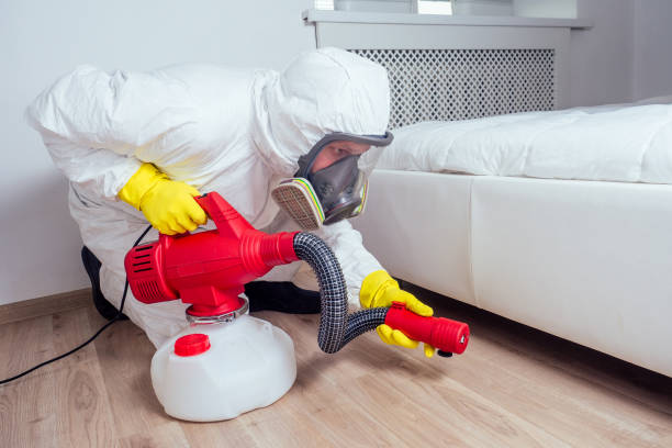 Best Residential Pest Control  in Burnham, IL